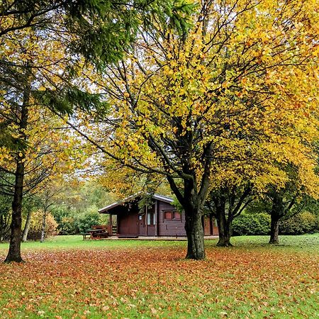 Pinecroft Lodges Ingleton  Zewnętrze zdjęcie